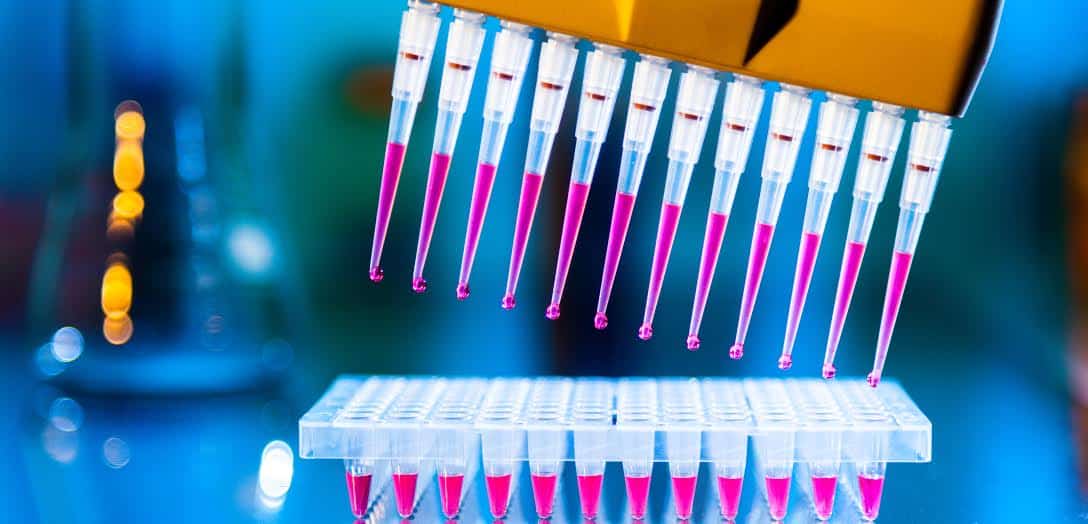 Scientist using multi-channel pipette for pipetting a 96 well plate with red solution on blue.