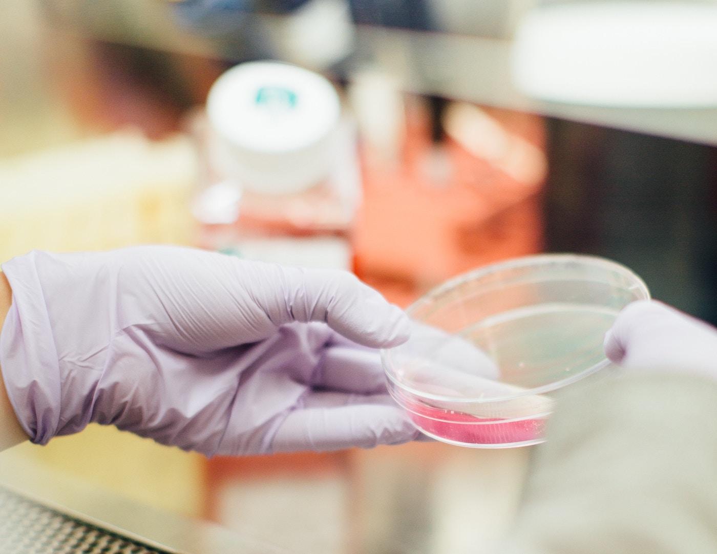 Samples in a lab
