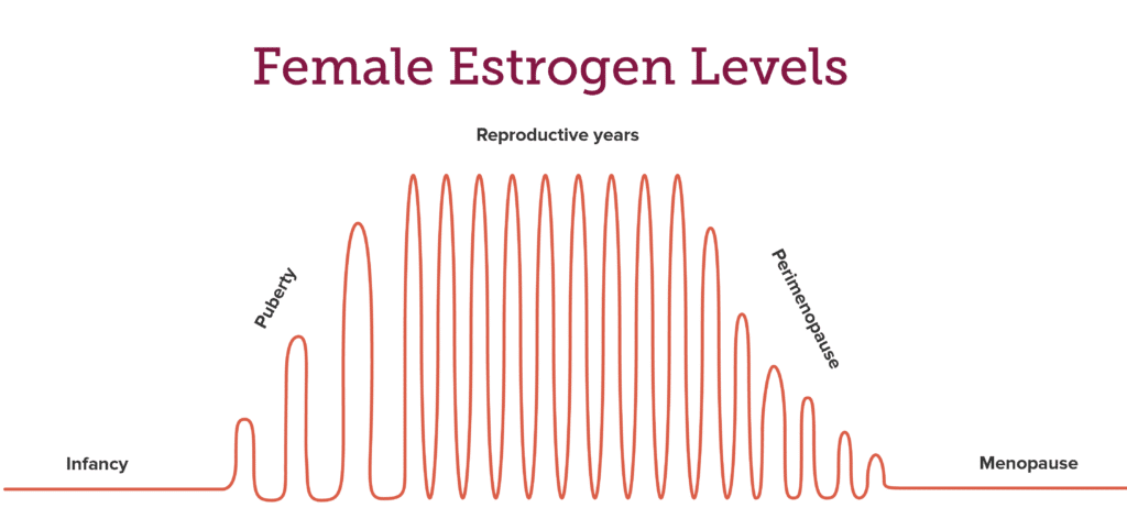 Chart showing female estrogen fluctuation throughout life and during menstrual cycle.