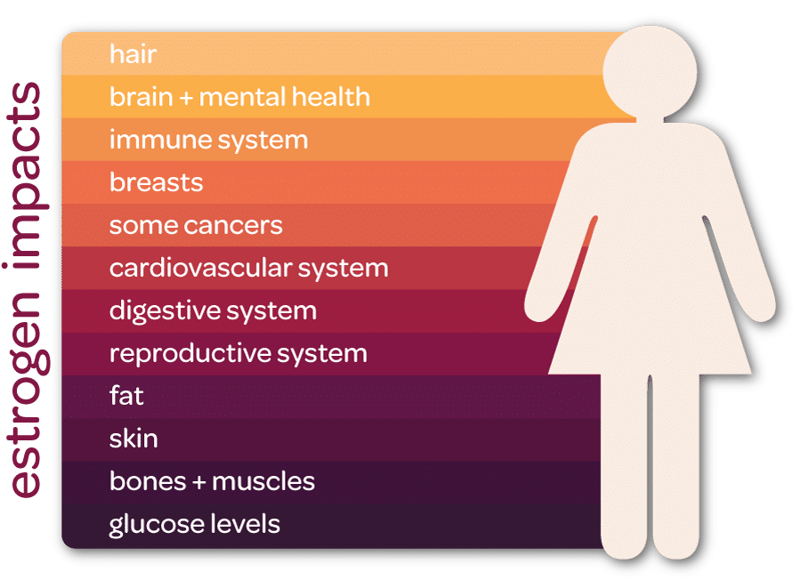 estrogen impacts graphic2