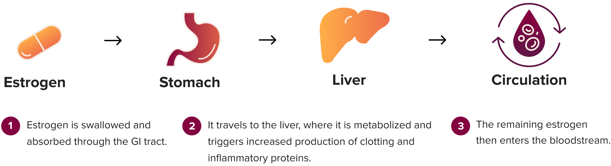 first pass metabolism of oral estrogen 4